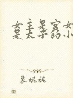 女主是宫女男主是太子的小说