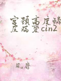 宫颈高度鳞状上皮病变cin2