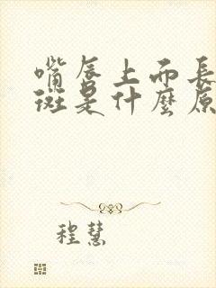 嘴唇上面长黑色斑是什么原因引起的