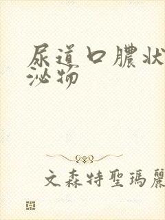 尿道口脓状分分泌物