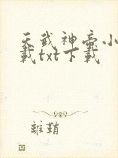 天武神帝小说下载txt下载