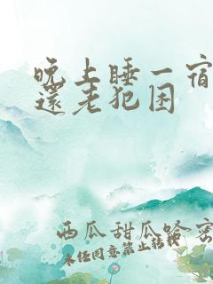 晚上睡一宿白天还老犯困