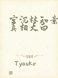 宫沉林知意后续真相大白