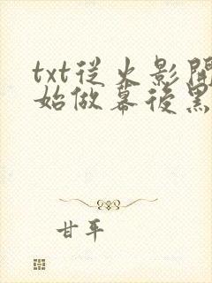 txt从火影开始做幕后黑手