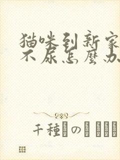 猫咪到新家不拉不尿怎么办