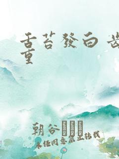 舌苔发白 齿痕重