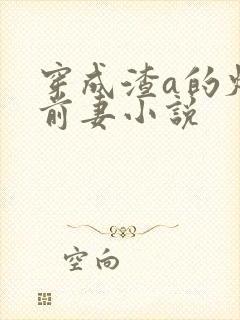 穿成渣a的炮灰前妻小说