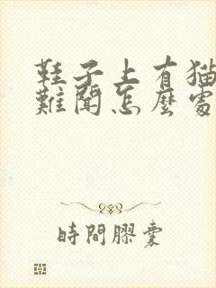 鞋子上有猫尿很难闻怎么处理