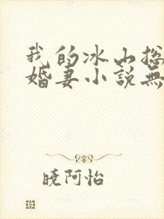 我的冰山总裁未婚妻小说无弹窗