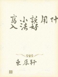 写小说用什么输入法好