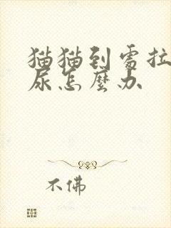 猫猫到处拉屎拉尿怎么办