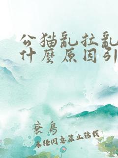 公猫乱拉乱尿是什么原因引起的