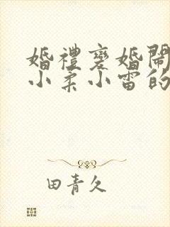 婚礼变婚闹陈芳小柔小雷的婚礼