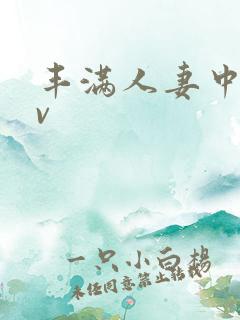 丰满人妻中文av