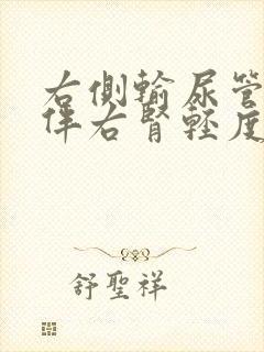 右侧输尿管结石伴右肾轻度积水