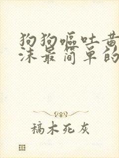 狗狗呕吐黄水泡沫最简单的方法