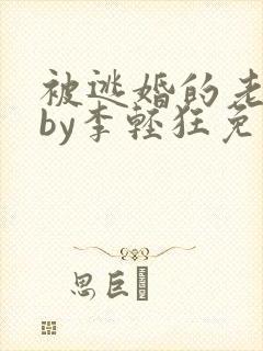 被逃婚的老实人by李轻狂免费阅读小说