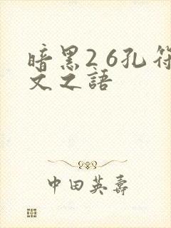 暗黑2 6孔符文之语