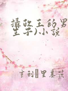 摄政王的男妃(生子)小说