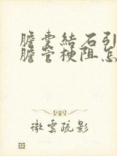 胆囊结石引起的胆管梗阻怎样治疗方法