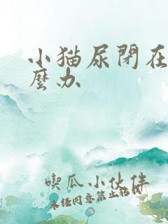 小猫尿闭在家怎么办