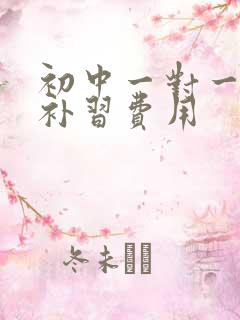 初中一对一数学补习费用