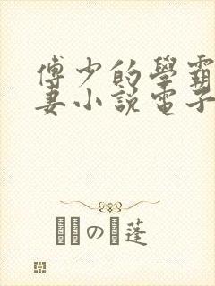 傅少的学霸小甜妻小说电子版txt