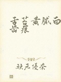 舌苔黄腻白厚有齿痕