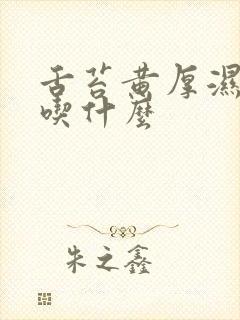 舌苔黄厚湿气重吃什么