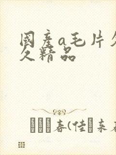 国产a毛片久久久精品