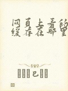 网页上看的视频缓存在哪里