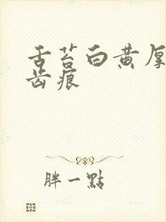 舌苔白黄厚腻有齿痕