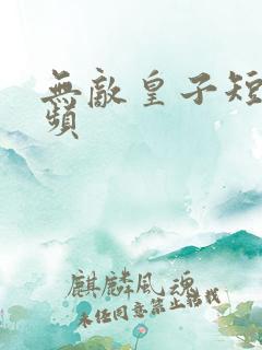 无敌皇子短剧视频