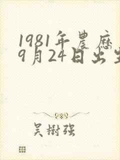 1981年农历9月24日出生是什么命