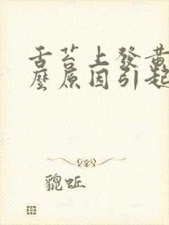 舌苔上发黄是什么原因引起的