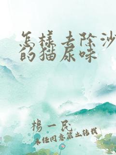 怎样去除沙发上的猫尿味