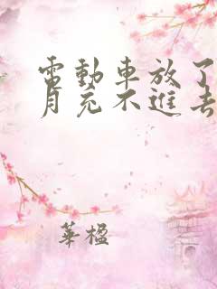 电动车放了三个月充不进去电怎么办