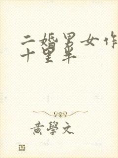 二婚男女作者:十里半