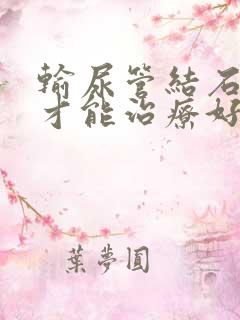 输尿管结石怎样才能治疗好