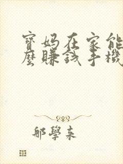 宝妈在家能做什么赚钱手机可以做