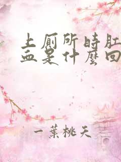 上厕所时肛门出血是什么回事