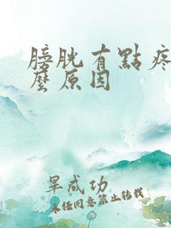 膀胱有点疼是什么原因