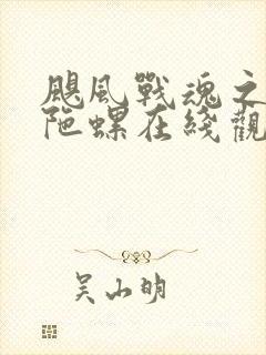 飓风战魂之剑旋陀螺在线观看