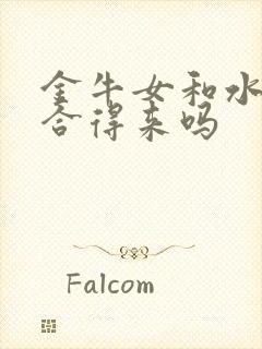 金牛女和水瓶女合得来吗