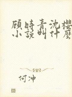 顾时青沈樱云妙小说叫什么名字