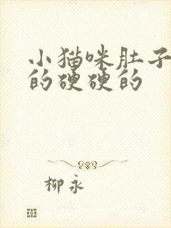 小猫咪肚子鼓鼓的硬硬的