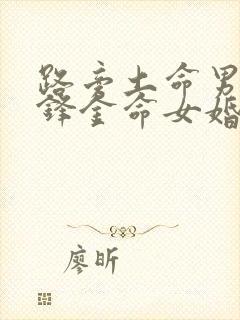 路旁土命男和剑锋金命女婚姻好吗