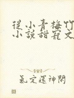 从小青梅竹马的小说甜宠文