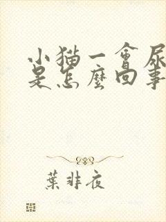 小猫一会尿一点是怎么回事