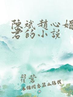 陈斌赵心媚高婉君的小说